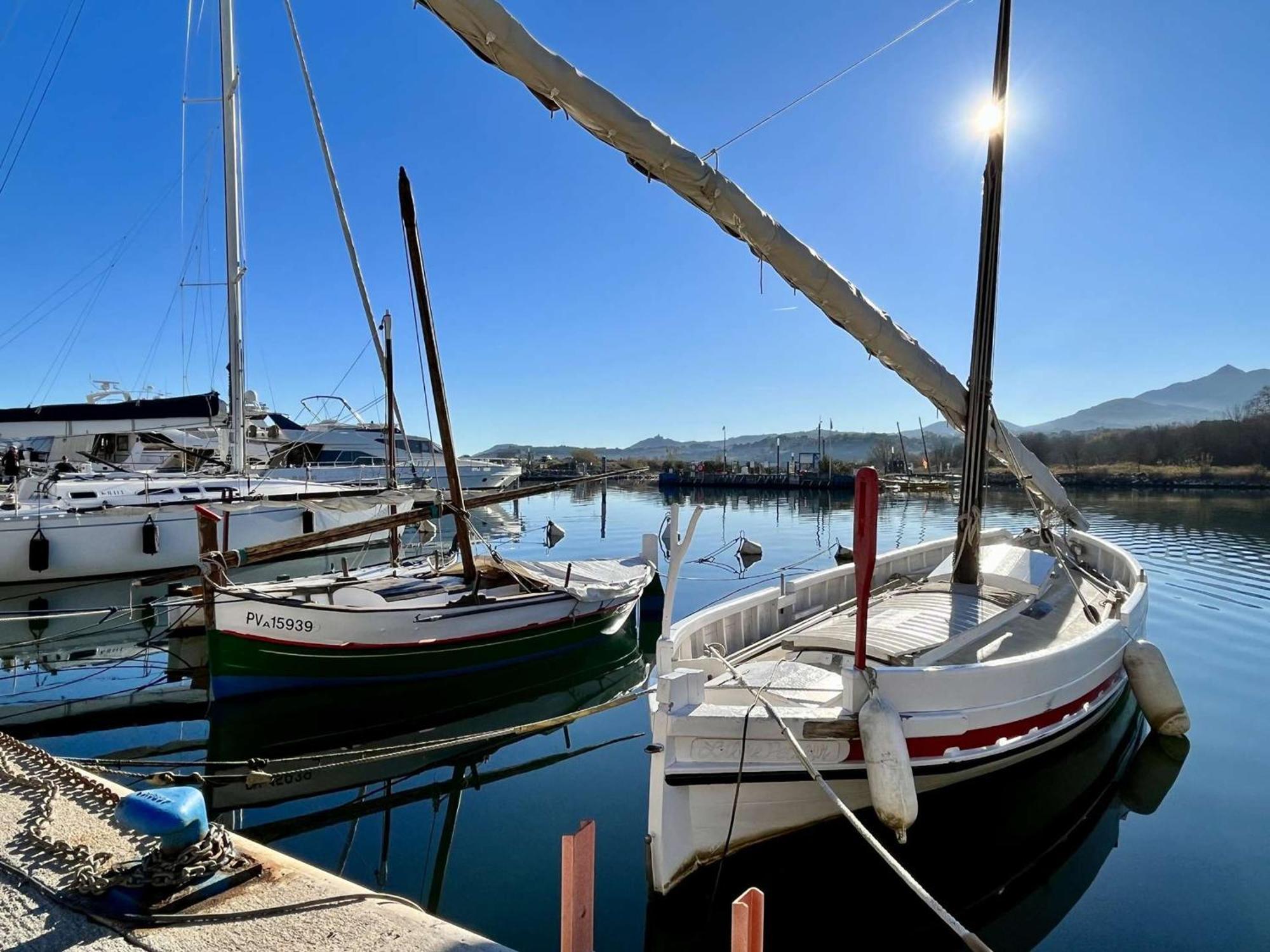 Appartement Familial 2 Pieces, Proche Plage, Garage, Loggia - Argeles-Sur-Mer - Fr-1-225-464 מראה חיצוני תמונה